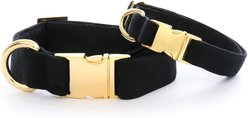 The Foggy Dog Onyx Nylon Dog Collar, Gold, X-Small: 8 to 12-in neck, 5/8-in wide slide 1 of 4