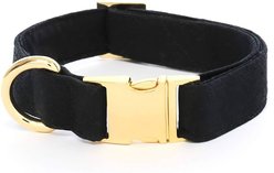 The Foggy Dog Onyx Nylon Dog Collar, Gold, X-Small: 8 to 12-in neck, 5/8-in wide slide 2 of 4