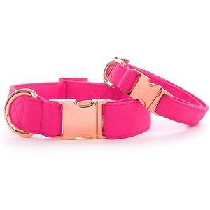 The Foggy Dog Hot Pink Nylon Dog Collar, Rose Gold, X-Small: 8 to 12-in neck, 5/8-in wide