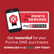 Show in main carousel: Purina ONE +Plus Classic Ground Healthy Puppy Lamb & Long Grain Rice Entree Canned Dog Food, 13-oz, case of 12 slide 5 of 9