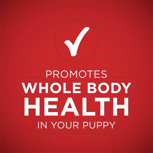 Show full view: Purina ONE +Plus Classic Ground Healthy Puppy Lamb & Long Grain Rice Entree Canned Dog Food, 13-oz, case of 12 slide 6 of 9