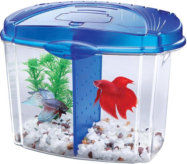 Discontinued - AQUEON Betta Bowl Aquarium Starter Kit, Blue, 0.5-gal ...