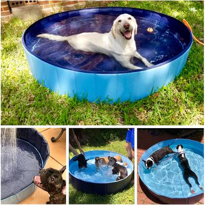 Show full view: KOPEKS Outdoor Portable Dog Swimming Pool, Gray, X-Large slide 5 of 7