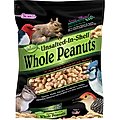 Brown's Song Blend Unsalted-In-Shell Whole Peanuts Wild Bird Food, 10-lb bag