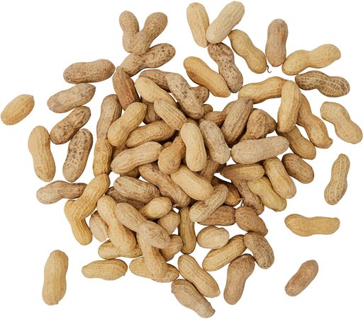 Brown's Song Blend Unsalted-In-Shell Whole Peanuts Wild Bird Food, 10-lb bag