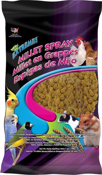 Brown's Extreme Natural Millet Spray Bird Treats, 12 count slide 1 of 4