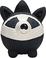HuggleHounds Ruff-Tex Raccoon Squeaky Dog Toy, Large