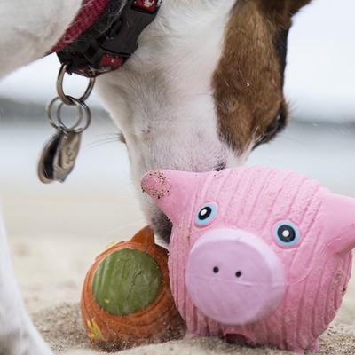 Show full view: HuggleHounds Ruff-Tex Squeaky Dog Toy, Pig, Large slide 5 of 12