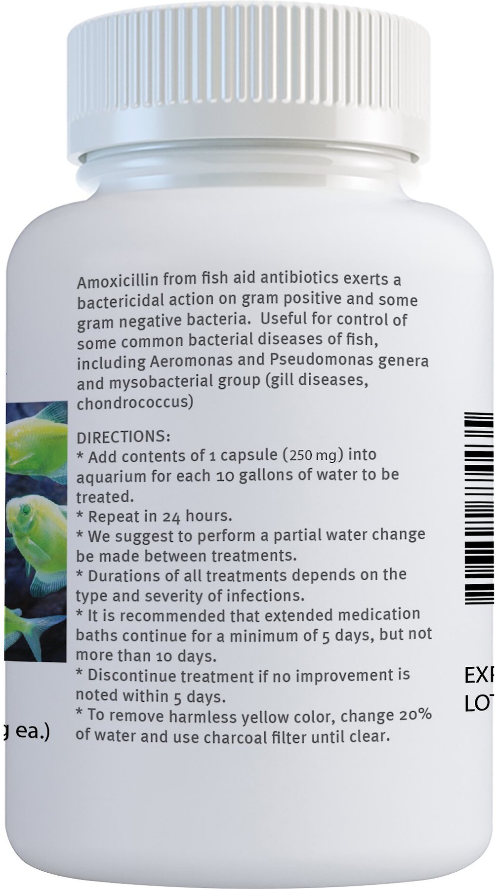 Amoxicillin online europe