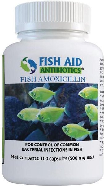 Temporarily Unavailable - FISH AID ANTIBIOTICS Amoxicillin Capsules ...