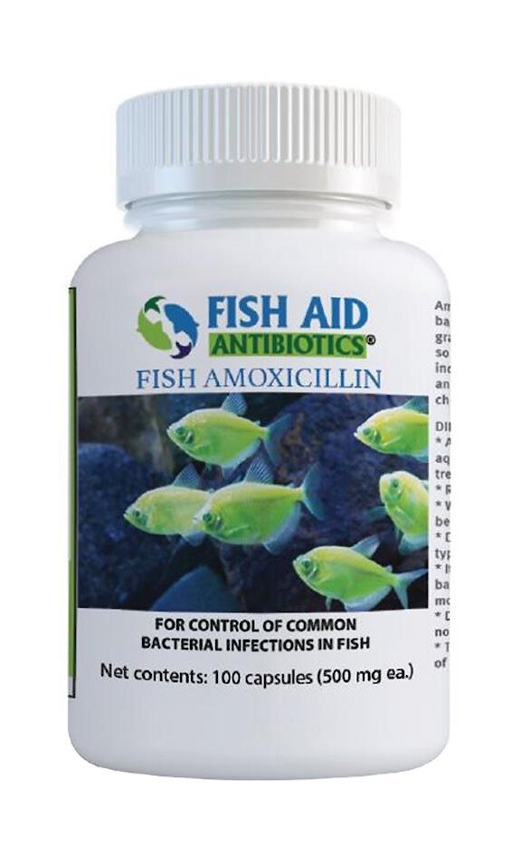 FISH AID ANTIBIOTICS Amoxicillin Capsules Fish Medication reviews