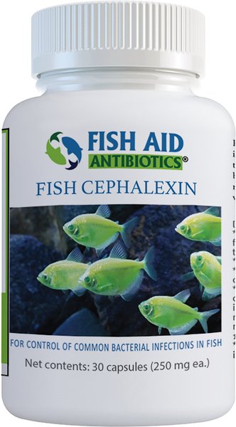 FISH AID ANTIBIOTICS Cephalexin Capsules Fish Medication 250 mg