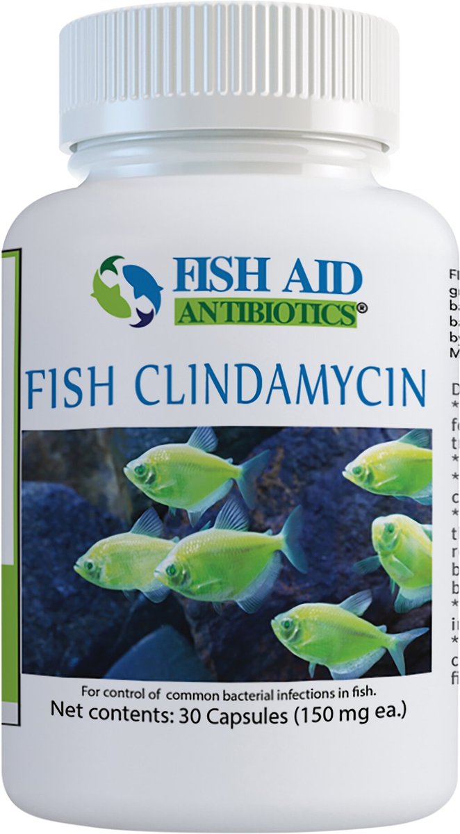 FISH AID ANTIBIOTICS Clindamycin Capsules Fish Medication, 150-mg, 30 count  