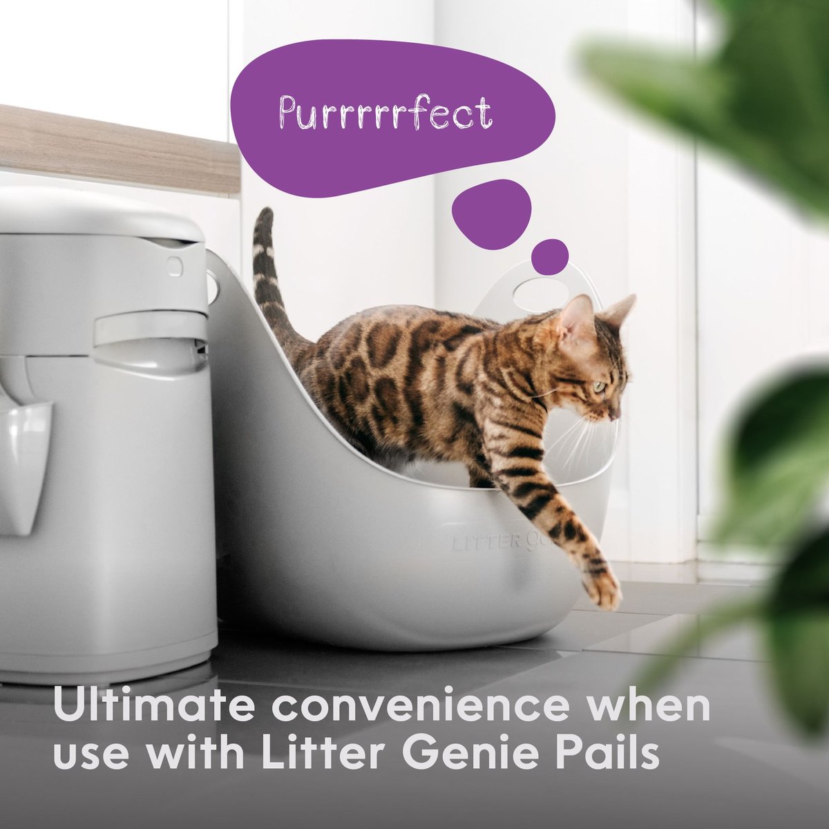 LITTER GENIE Cat Litter Box
