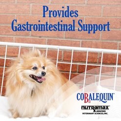 Nutramax Cobalequin Chewable Tablets B12 Supplement for Cats & Small Dogs, 45 count slide 2 of 9