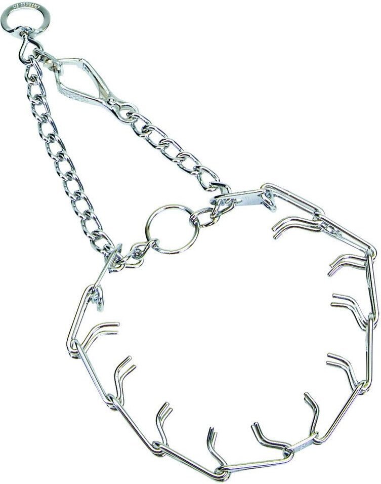 prong collar set up