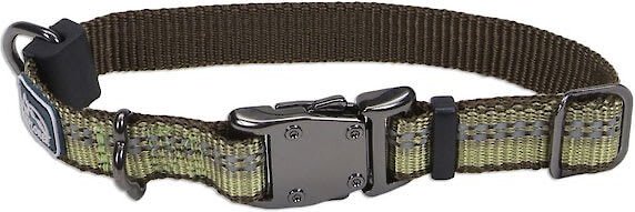 Explorer 2024 dog collar