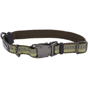 K9 Explorer Reflective Dog Collar, Fern, 10 to 14-in neck, 5/8-in wide