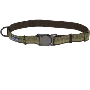 K9 Explorer Reflective Dog Collar, Fern, 18 to 26-in neck, 1-in wide