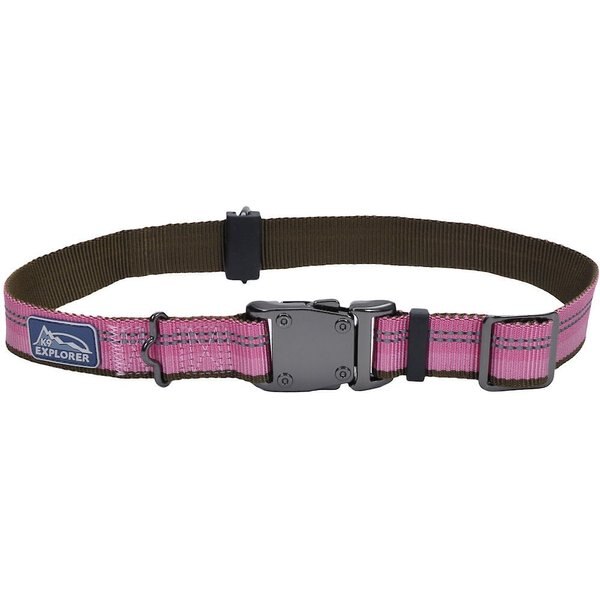 CARHARTT Lighted Dog Collar, Brown, Medium