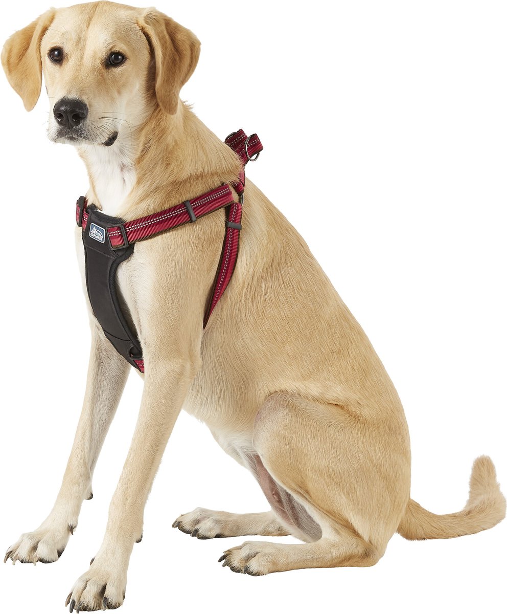 K9 dog harness pets at home sale