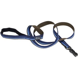 Best Overall Leash