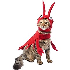 Frisco Red Lobster Cat Costume, Small