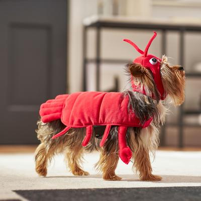 Show full view: Frisco Red Lobster Dog & Cat Costume, X-Small slide 6 of 8