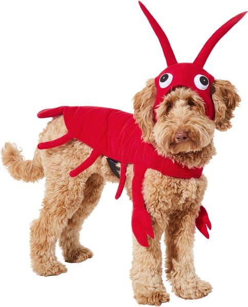 Frisco Red Lobster Dog & Cat Costume, Medium slide 1 of 8