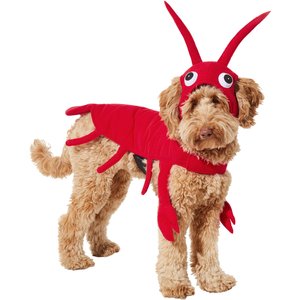 Frisco Red Lobster Dog & Cat Costume, Medium