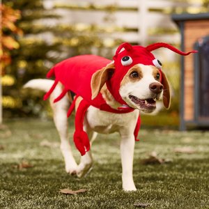 Frisco Red Lobster Dog & Cat Costume, Medium