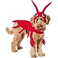 Frisco Red Lobster Dog & Cat Costume, X-Large