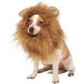 Frisco Lion Mane Dog & Cat Costume, Small