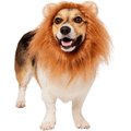 Frisco Lion Mane Dog & Cat Costume, Small