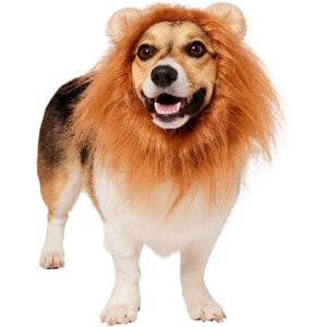 Frisco Lion Mane Dog & Cat Costume, Small