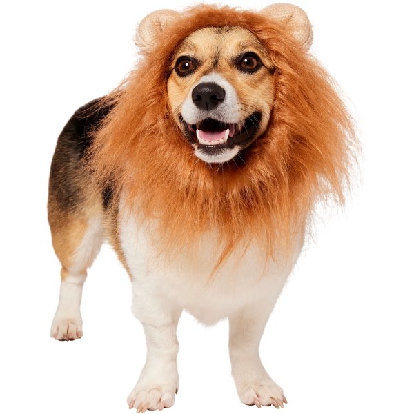 Rubie's Costume Company Lion's Mane Dog Costume