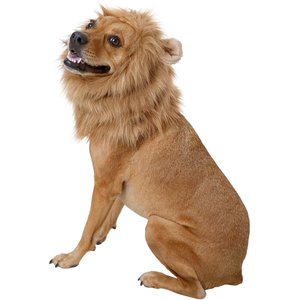 Frisco Lion Mane Dog & Cat Costume, Medium