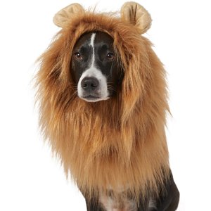Frisco Lion Mane Dog & Cat Costume, Large