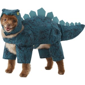 Frisco Stegosaurus Dinosaur Dog & Cat Costume, Medium