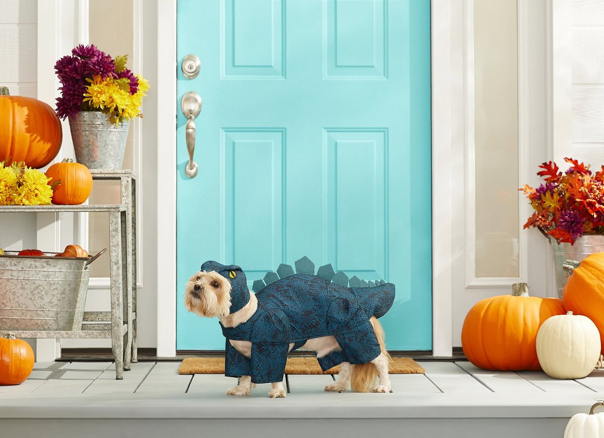 Dog halloween clearance costumes dinosaur