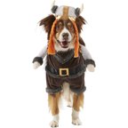 Viking Costume Dog 