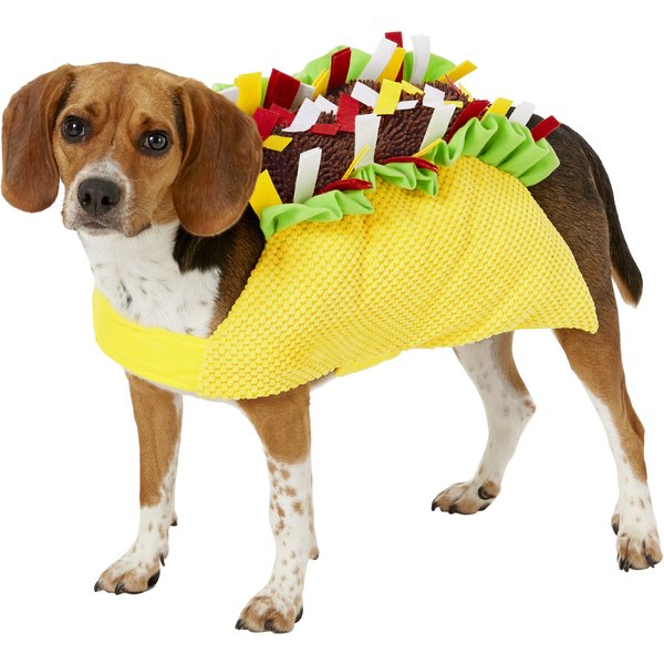 FRISCO Red Lobster Dog & Cat Costume, Large - Chewy.com
