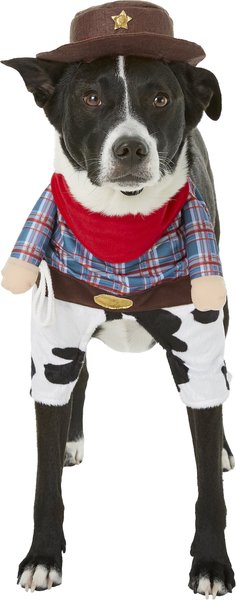 Frisco Front Walking Cowboy Dog & Cat Costume, Large slide 1 of 7