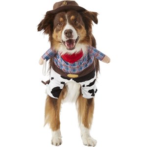 Frisco Front Walking Cowboy Dog & Cat Costume, X-Large