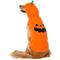 Show in main carousel: Frisco Jack O' Lantern Pumpkin Dog & Cat Hoodie Costume, X-Small slide 3 of 9