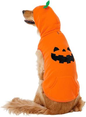 Show full view: Frisco Jack O' Lantern Pumpkin Dog & Cat Hoodie Costume, X-Small slide 3 of 9