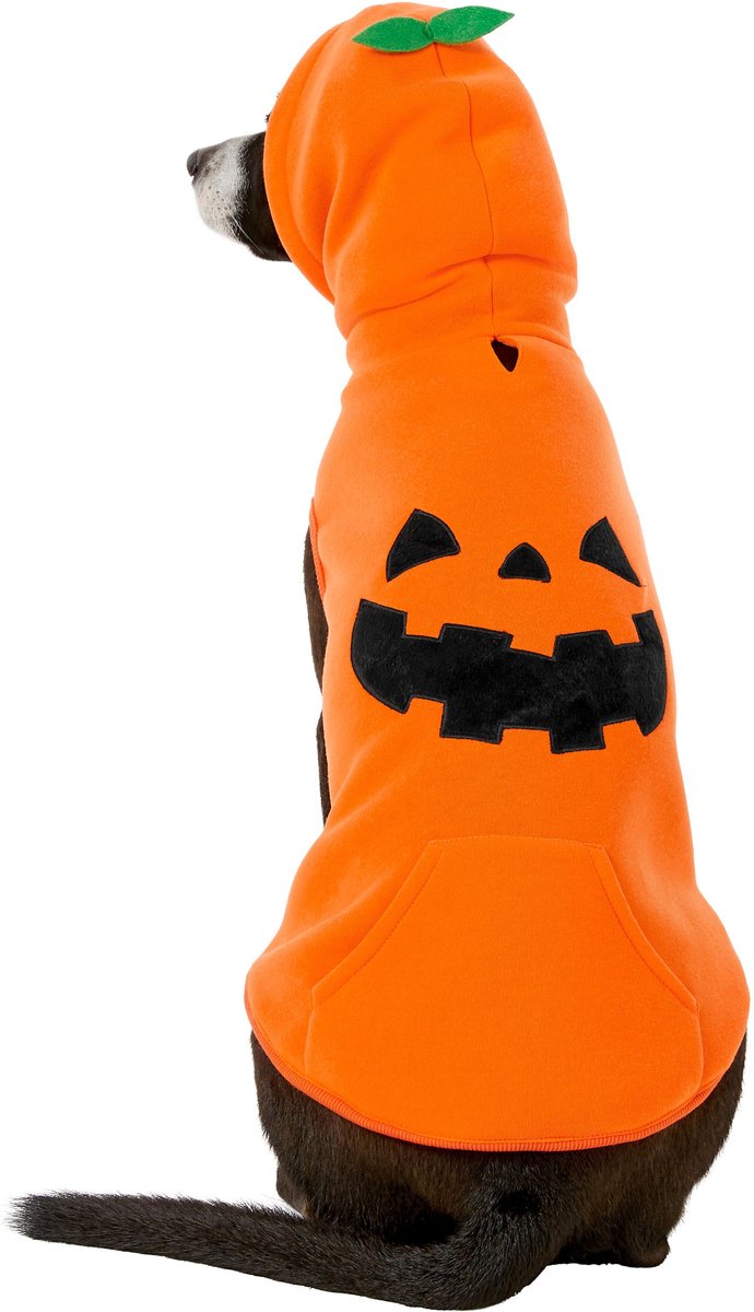 Jack O’ Lantern Pumpkin Dog Hoodie