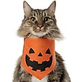 Frisco Jack O' Lantern Pumpkin Dog & Cat Bandana, X-Small/Small