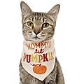 Frisco Mommy's Lil Pumpkin Dog & Cat Bandana, X-Small/Small