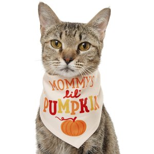 Frisco Mommy's Lil Pumpkin Dog & Cat Bandana, X-Small/Small